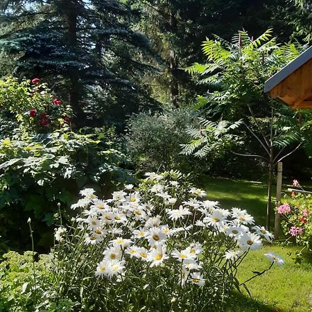 Seidelsferienparadiesgahlenz Luaran gambar
