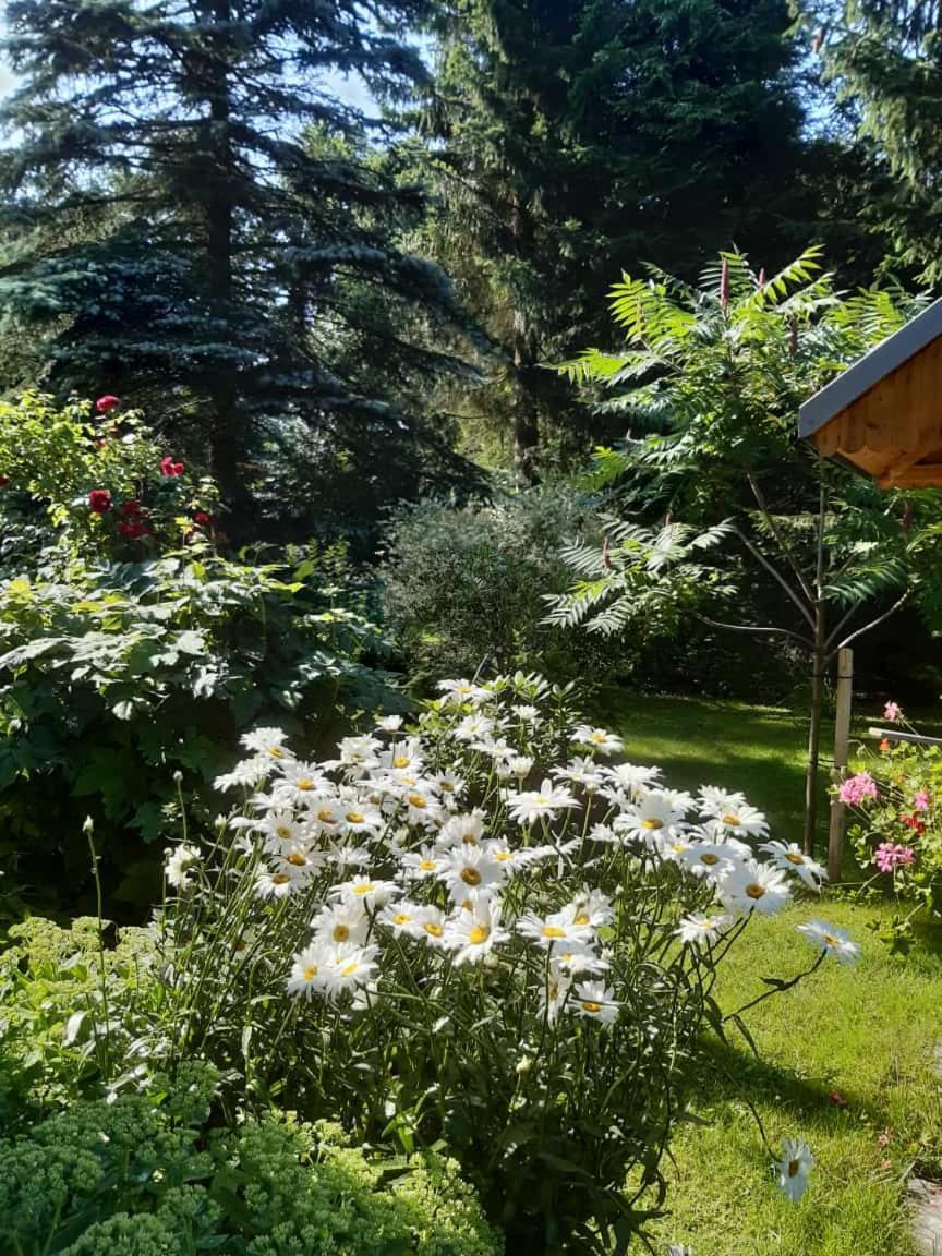 Seidelsferienparadiesgahlenz Luaran gambar