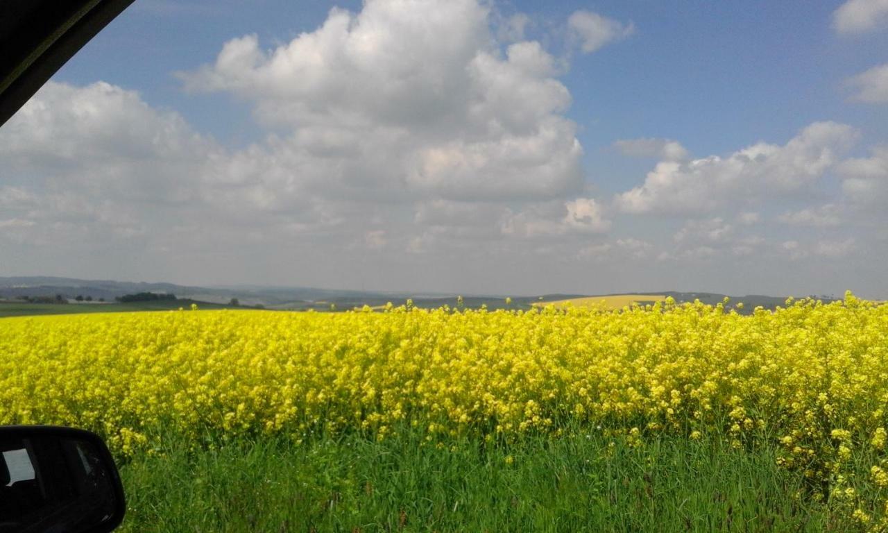Seidelsferienparadiesgahlenz Luaran gambar